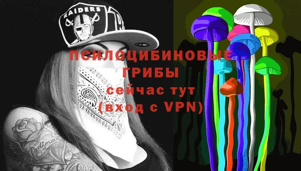 гидра Алзамай